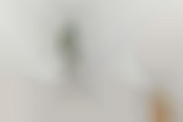 Naturalistic Home Humidifiers