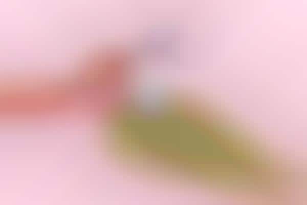 Mindful Organic Skincare Products