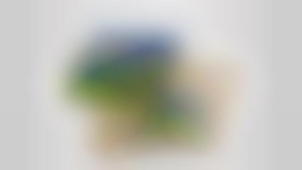 Screen-Enlarging Smartphone Docks