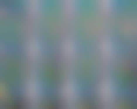 Geometry-Inspired Graphic Murals