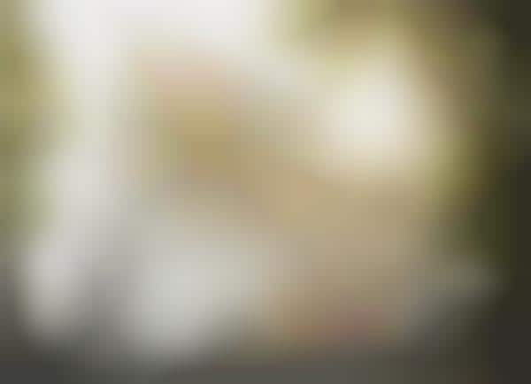 Lightbox Furniture Stores