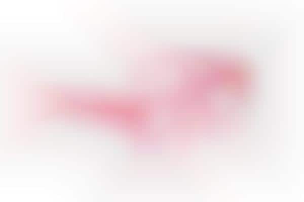 Over-Sized Pastel Kid Glasses