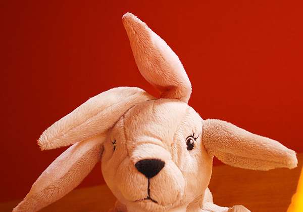Genetically Deformed Toys