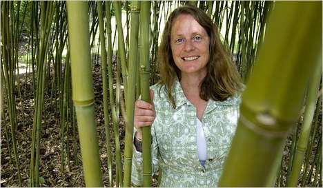 Cloning Plants 