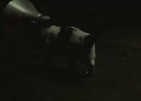 Fake Naughty Music Videos Image 3