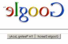 Mirror Image Search Engines