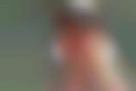 Transgendered Tennis Players