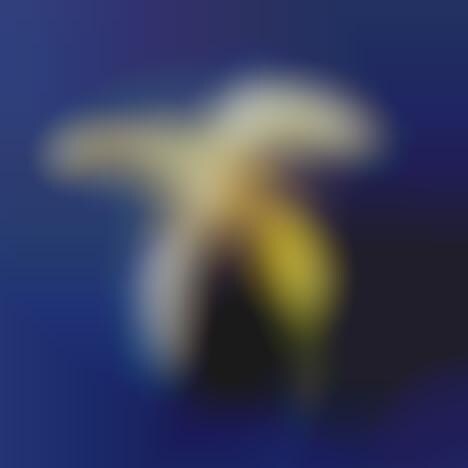Naughty Penile Art
