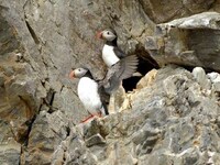 Polar Vacations Image 8