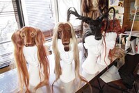 Faux Taxidermy Headwear Image 2