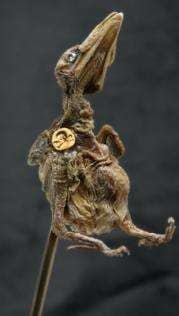 Accessorizing With Taxidermy
