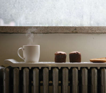 Retro Radiator Warming – Heat Up Your Food On The 'Natural Wave' Tray ...