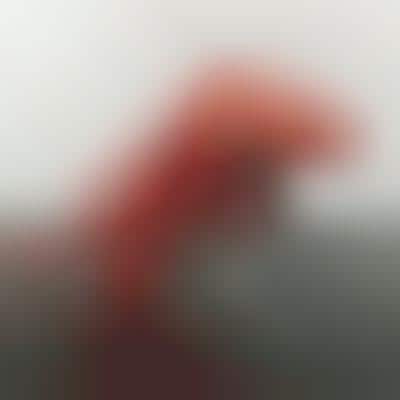 Recycled Can Origami