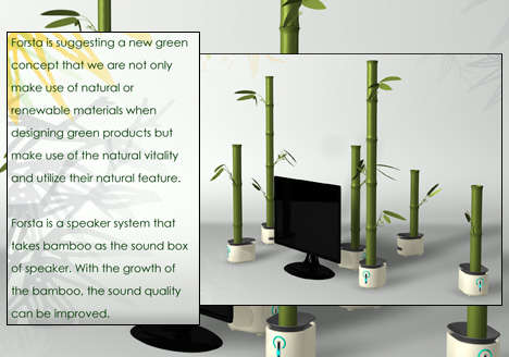Bamboo Speakers