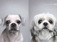 Ad Longevity Through Humor Image 3