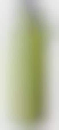 Purifying Eco Canteens