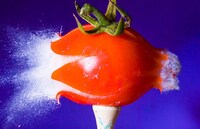 Bursting High-Speed Photography Image 8