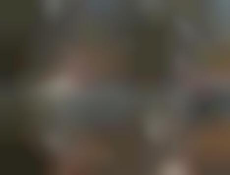 Drunk Exotic Animals
