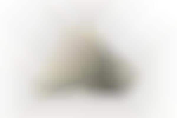 Hybrid Cream Tonal Sneakers