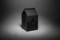 Carton-Style Sneaker Packaging Image 2