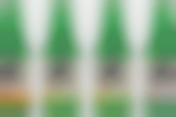Flavored Ginger Beers