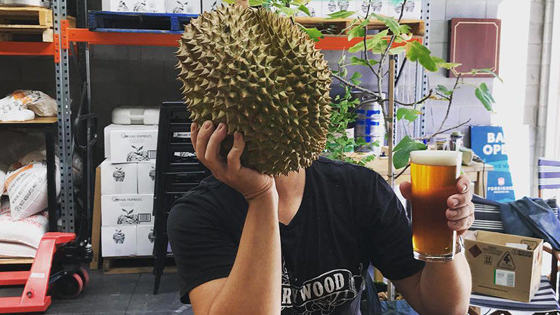 Pungent Fruit-Inspired Beers