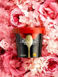 Spoon-Licking Ice Cream Branding Image 6