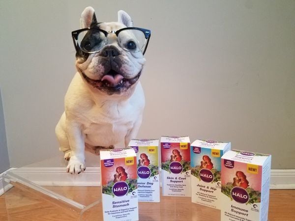 Top 25 Pet Trends in June