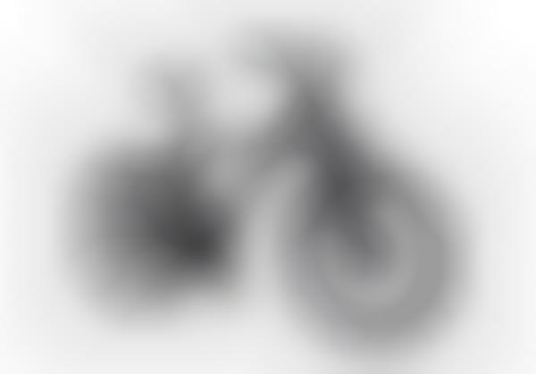 Unstealable Electric Bicycles