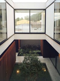 Skeletal Courtyard Homes Image 8