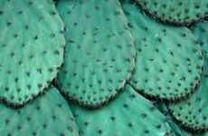 Cactus Water Moisturizers