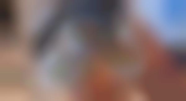 AR Toy Previews