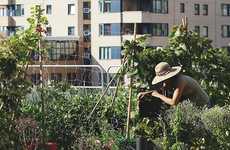 Inclusive Rooftop Urban Farms