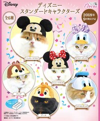 Disney-Inspired Cat Hats Image 3