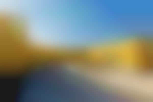 Calming Yellow High Schools