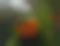 Industrial Agriculture Robots Image 1