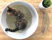 Circular Designer Litter Boxes Image 2
