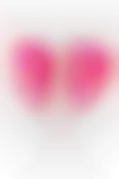 Heart-Shaped Sponge Duos