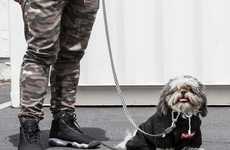 Streetwear-Style Dog Accessories