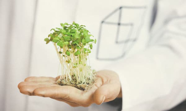 62 Conscious QSR Innovations