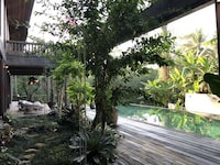 Lush Jungle Homes Image 3