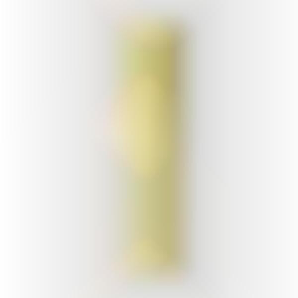 Frizz Control Shampoos