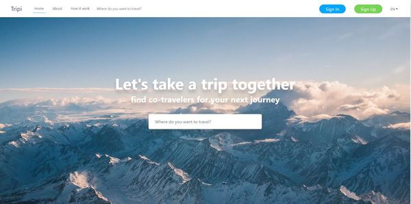 Traveler-Pairing Platforms