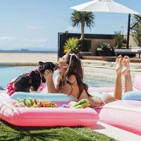 Pet Pool Floats Image 2