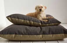 Stylish Modern Dog Beds