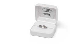 Preliminary Proposal Rings