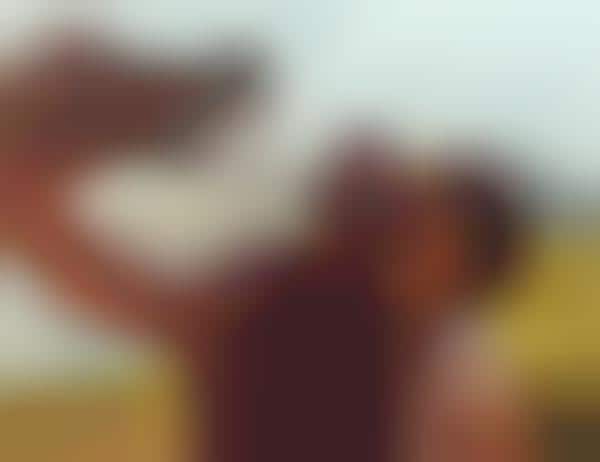 Holistic Smartphone Photography Lenses