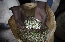 Ethical Perfume Line Partnerships