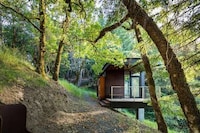 Modern Ravine-Side Abodes Image 4