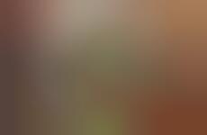 Youth-Driven Snacking Experiences